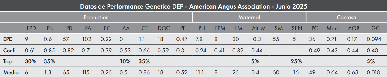 CUADRO GRAND CANYON 2025