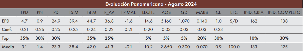 CUADRO HITORICO 2025