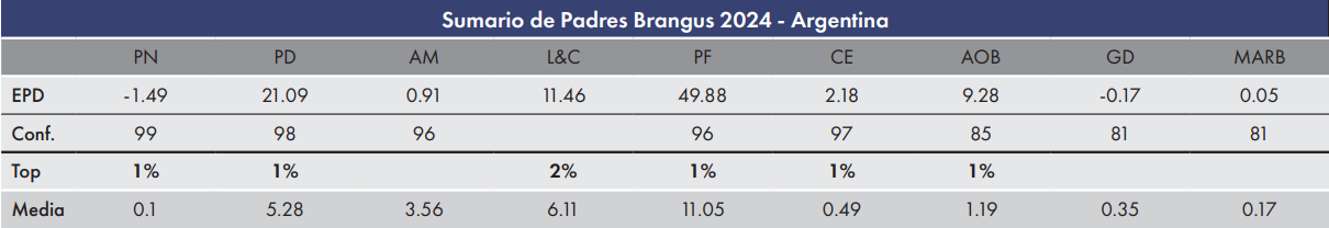 CUADRO MARATHON 2025