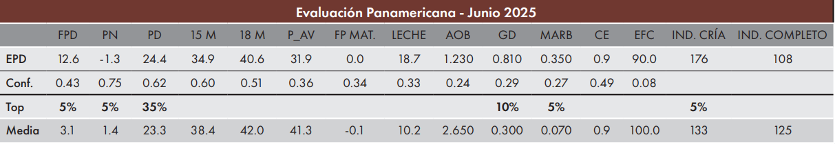 CUADRO SLEEP ON 2025