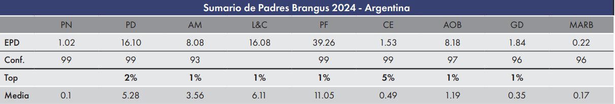 CUADRO SORPRESA 2025