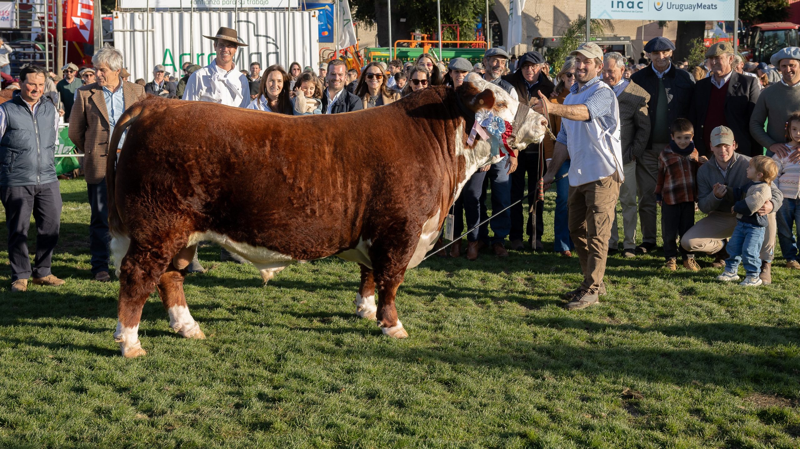 HISTÓRICO SMALL Troyano, Su hijo en SGSS
