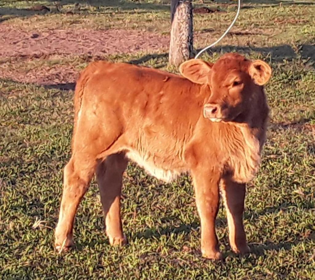 SORPRESA, Su hija en Argentina SU HIJA