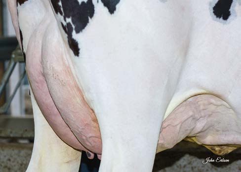 ABUELA ASTRAGALUS Wirla Lionel 1910-ET