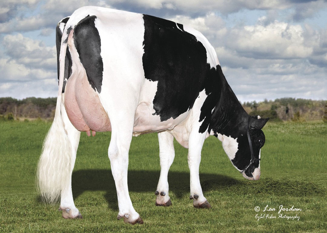 HIJA ZYTHOS FetzerZythos3273Grade