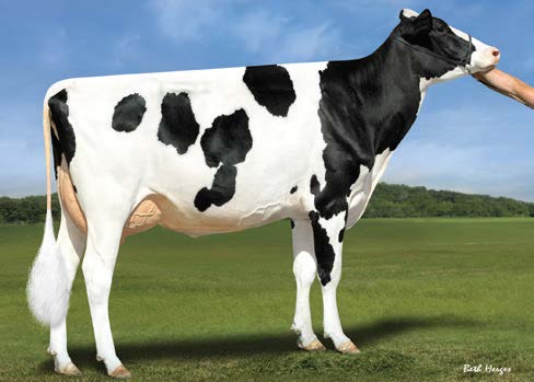 MGGD EZE-S S-S-I Flyer 7452 9025-ET (VG-87)