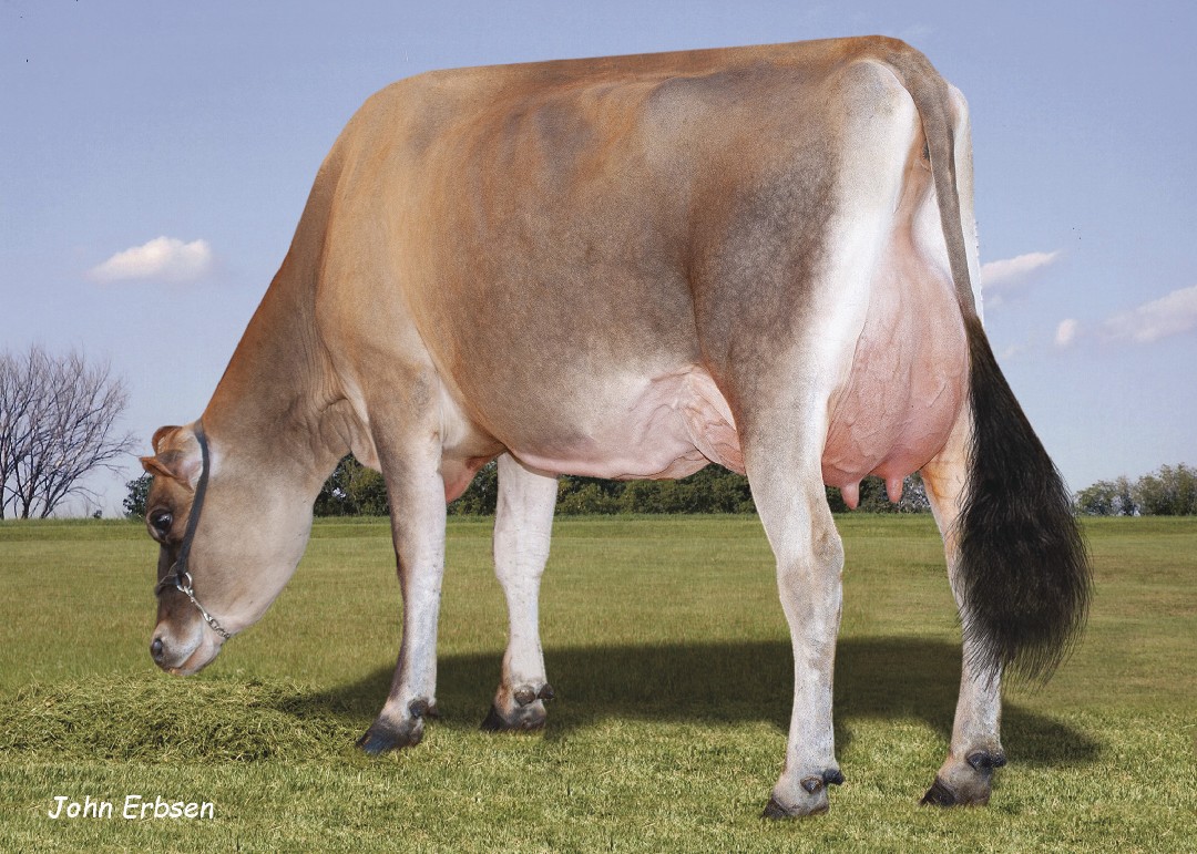 BarMBKamakazi26477Grade