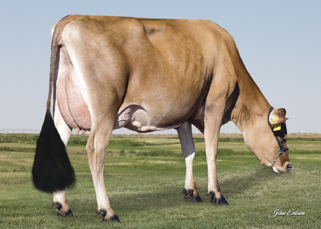 Hija Goff S-S-I Closer 58994-ET (VG-82%) IRON MAN Ubre Hija