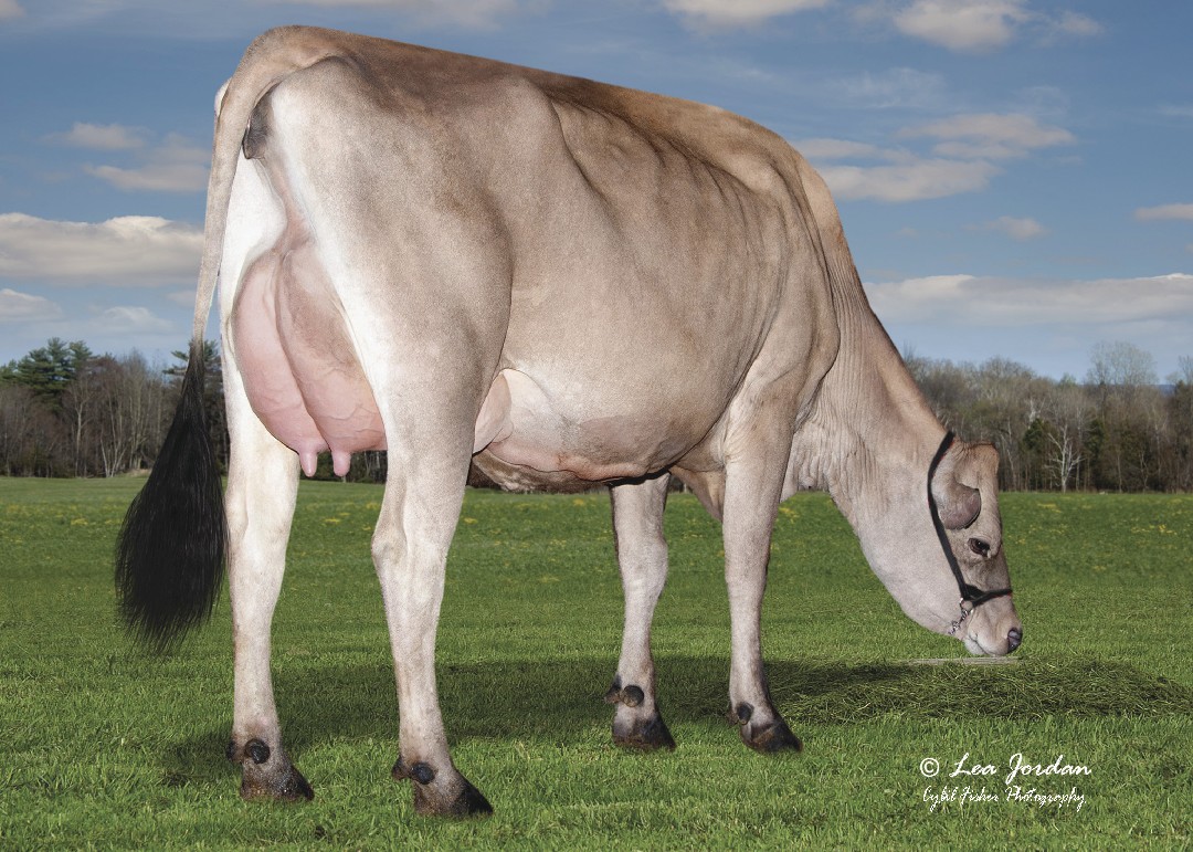 Hija JX S-S-I Victory Chekhov 65861 {6}-P-ET