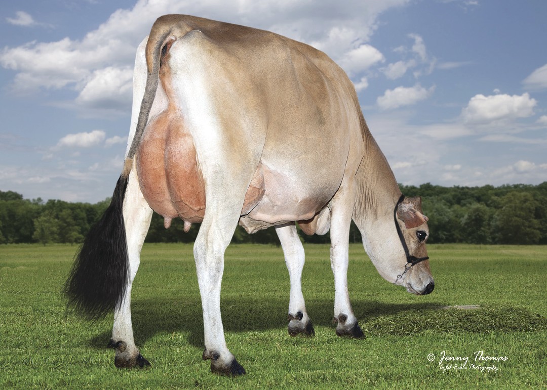 Hija Miss Kamakazi Faith (VG-87%)