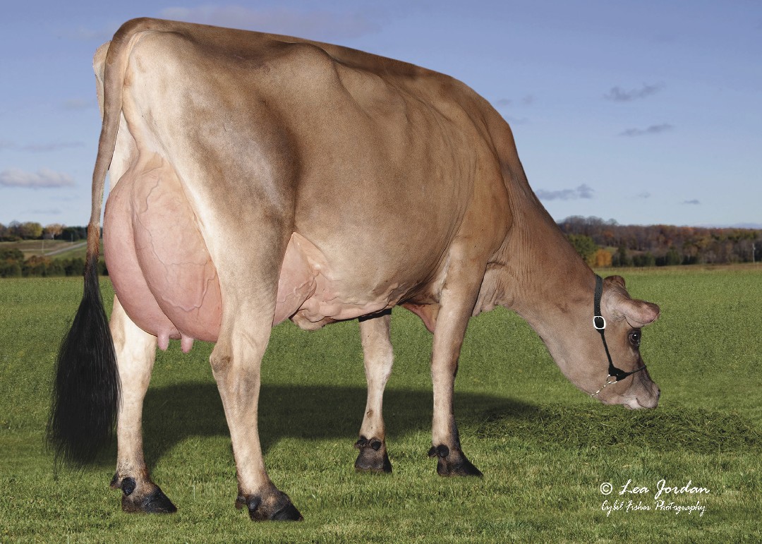 Hija OVERALLS S-S-I Victory Overalls 65103-ET