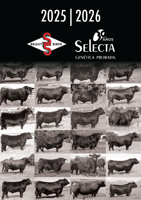 Catálogo de Carne 2025 - Angus y Red Angus