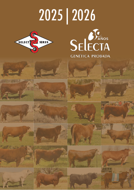 Catálogo de Carne 2025 - Hereford, Braford, Brangus y otras