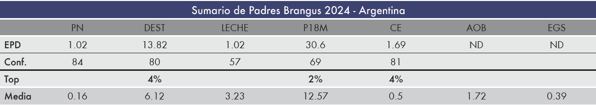 MASNERO DATOS 2026